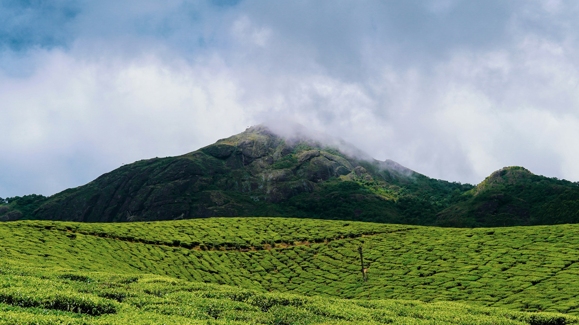 AutoRega V1 em funcionamento